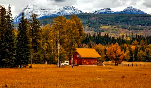 Brown Cabin Near Trees and Mountains insurance