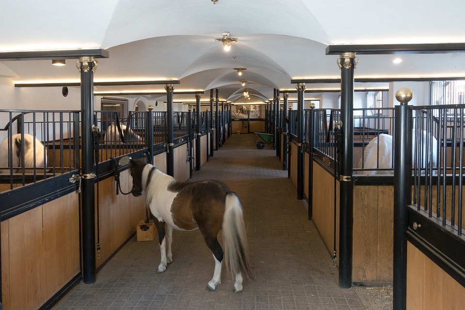 A horse stands outside a stall at a cutting-edge stable and breeding facility.