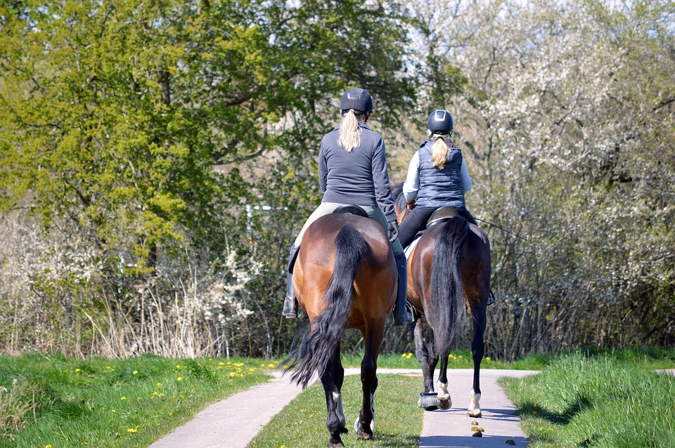 Trainer and client ride horses together during outdoor lesson.
