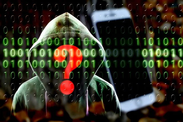 Cyber criminal