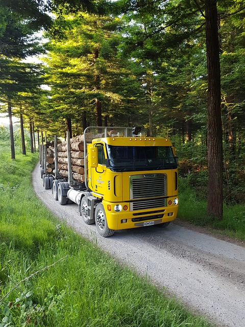 Fully loaded logging truck