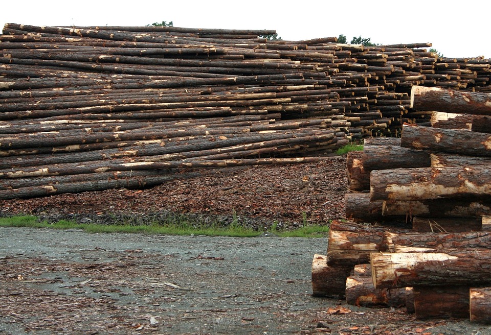 Lumber yard