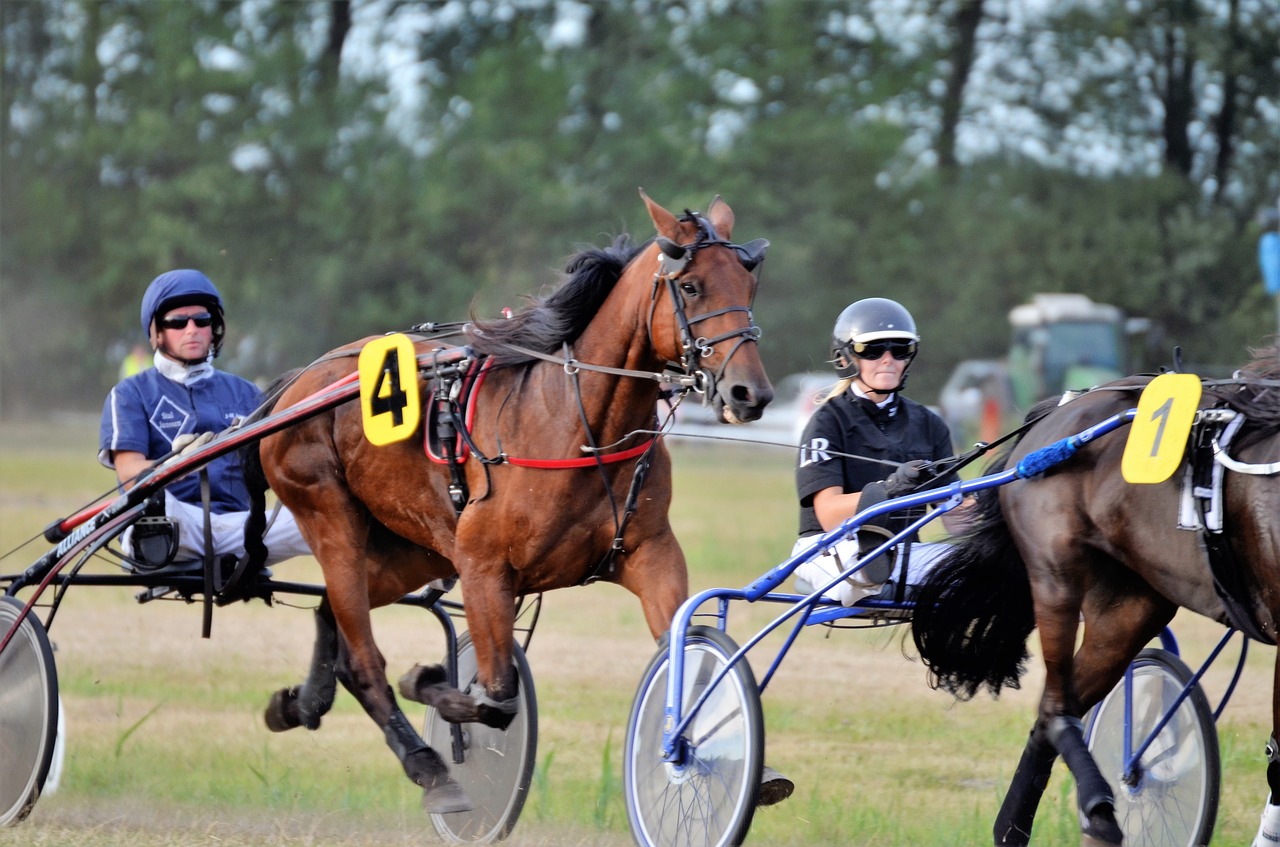Two sulkies pulled by  horses side by side on a harness track