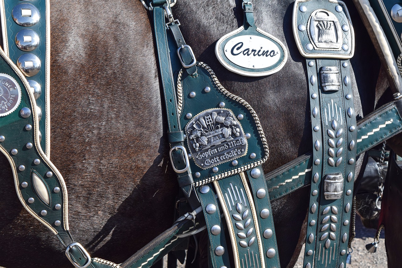 Close-up of a leather Horse Harness