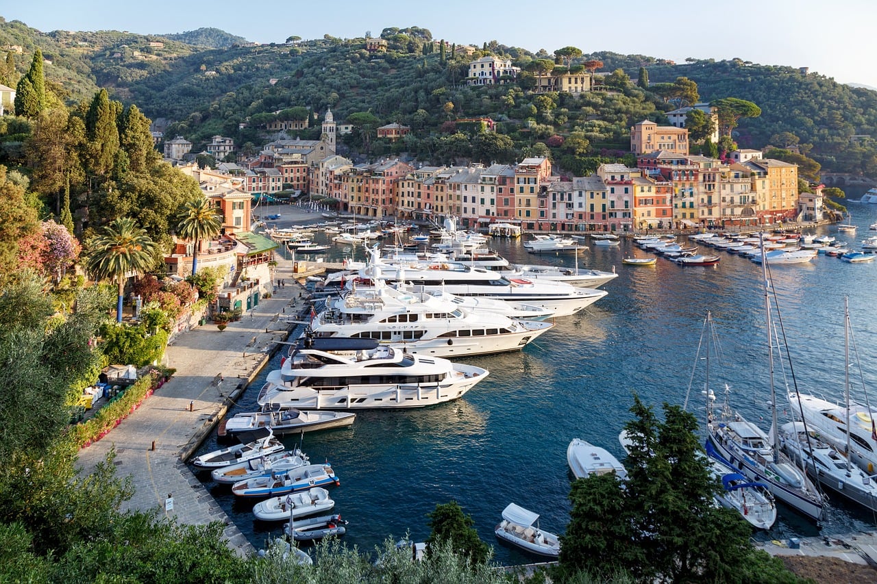 Luxury yachts moored in a marina