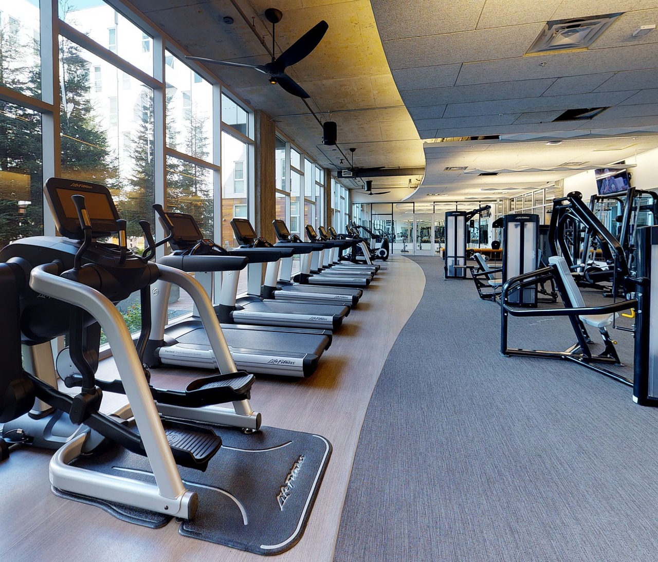 A well-equipped gym with multiple treadmills and weight machines.