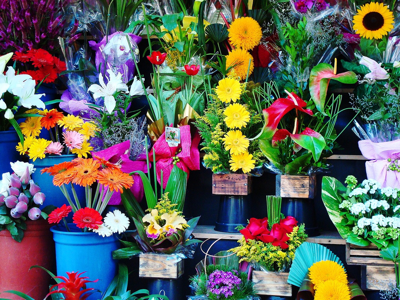 Vibrant floral display at local florist shop