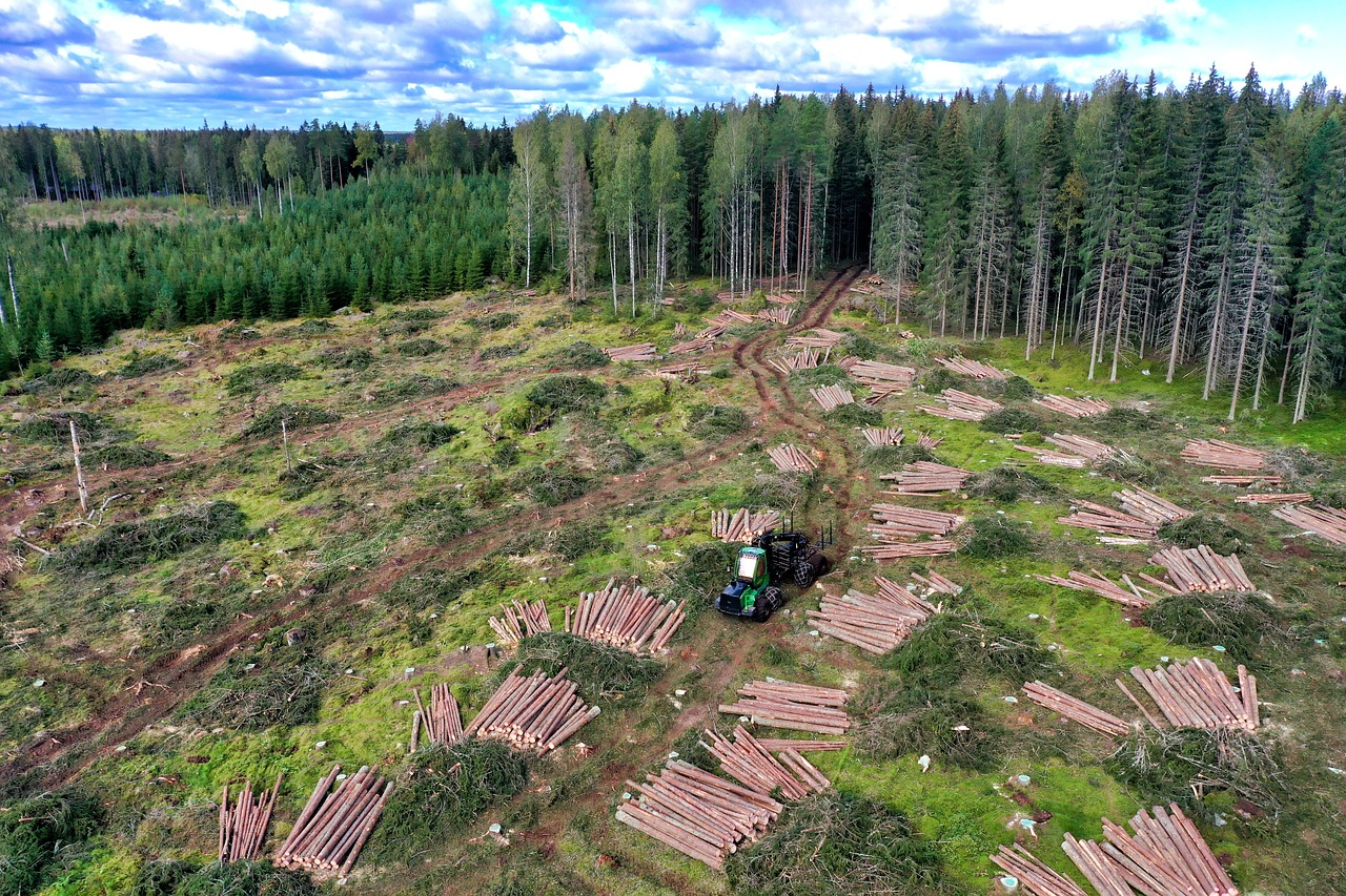 Lumber Operations 