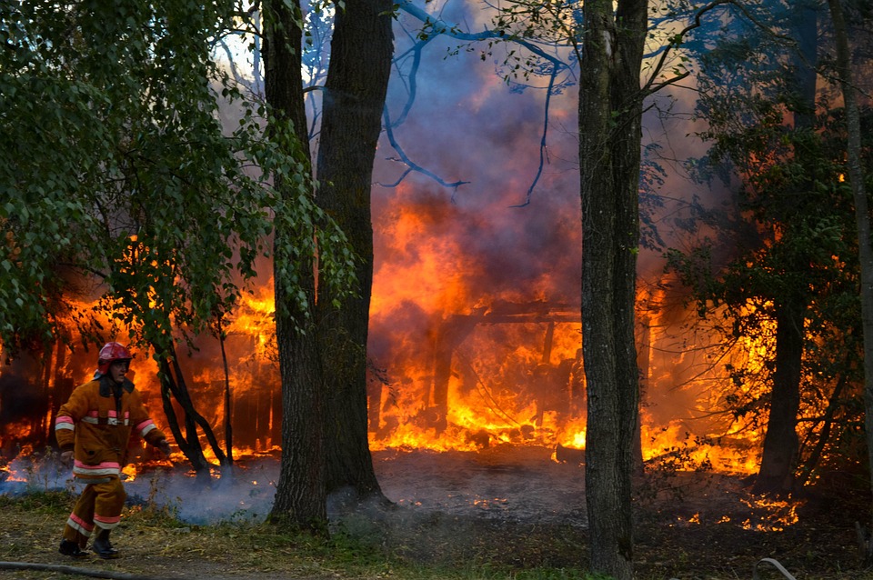Firefighter courageously combats a massive fire.