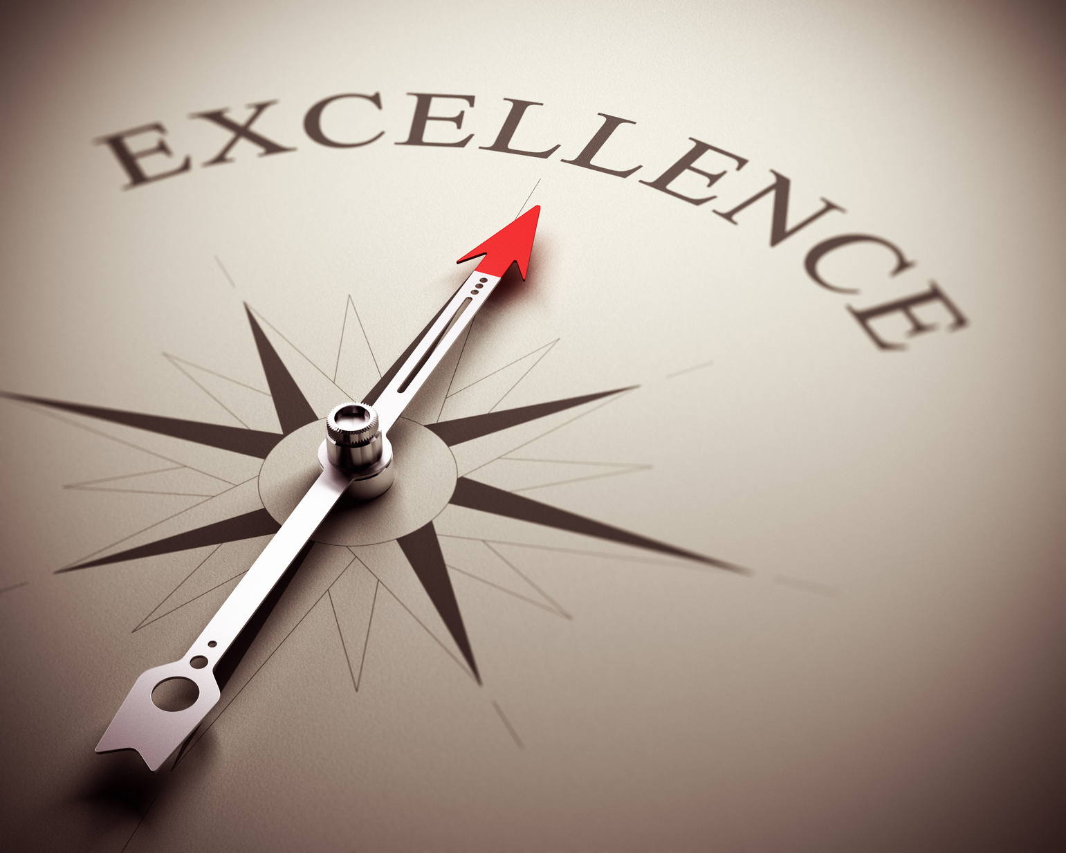 Striving for Excellence