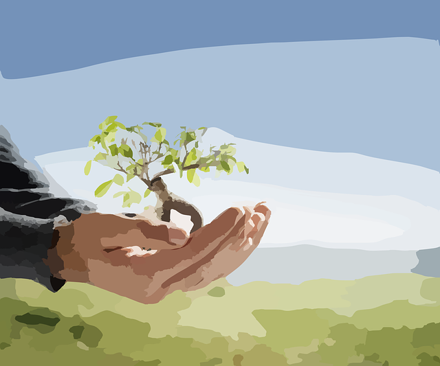 Minding Business Development:  Planning for Growth