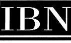 IBN Logo Mini.JPG