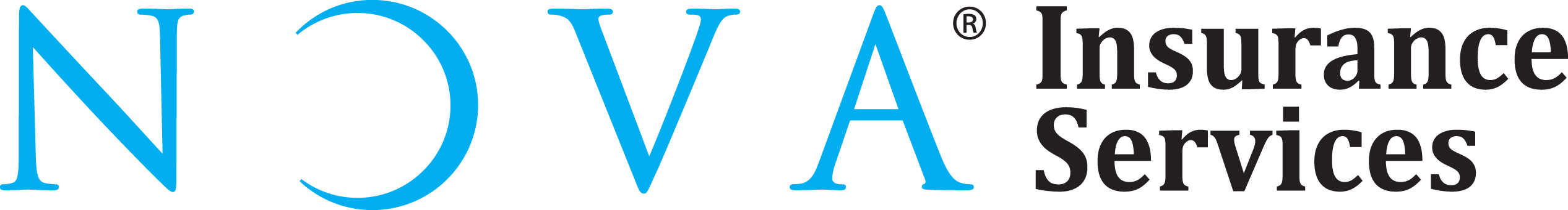 NIS LOGO 2017 wide blue.jpg